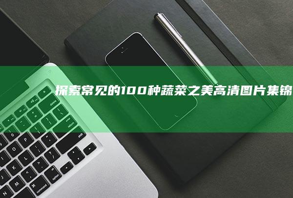 探索常见的100种蔬菜之美：高清图片集锦